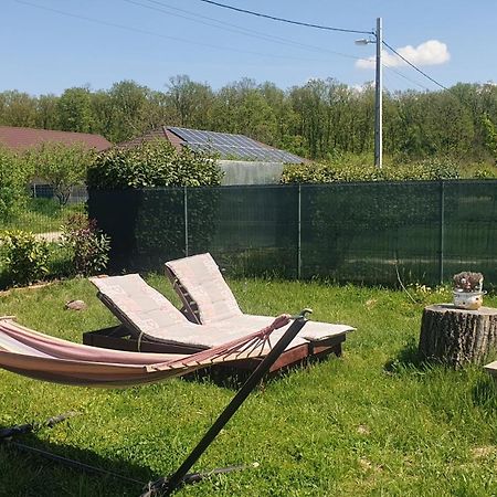 Forest Relax Near Oradea -Pet Friendly Les 外观 照片